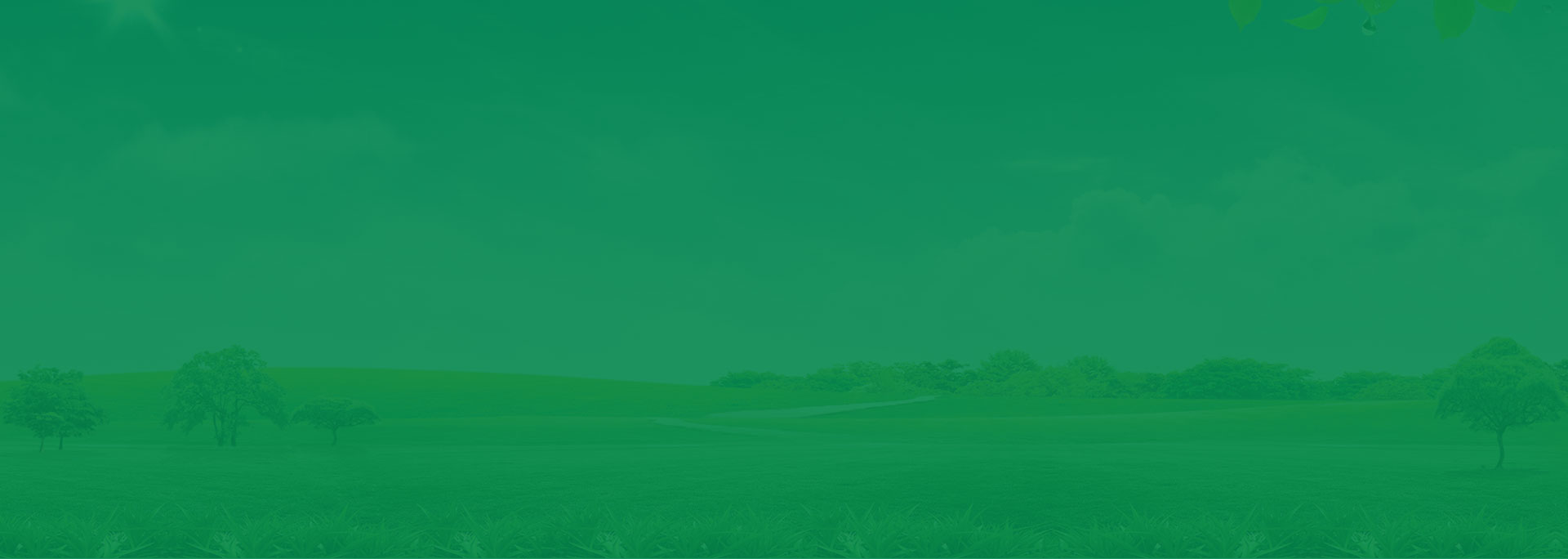 阿拉丁發布7月小程序榜單