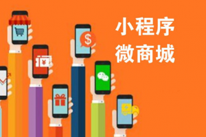 商城小程序開發(fā)