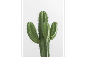 微信小程序插屏廣告組件