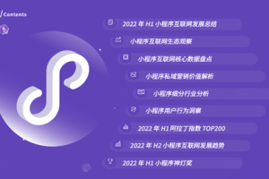 2022年H1小程序互聯網發展白皮書