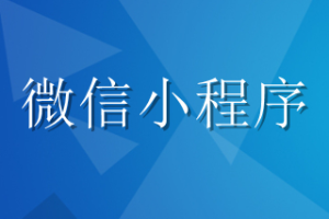 小程序10005